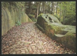 TORENÖLI BE Bei Schwarzenburg Am Pilgerweg Im Naturpark Gantrisch - Schwarzenburg