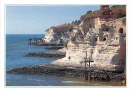 Delcampe - B-15-1744  : MESCHERS - Meschers