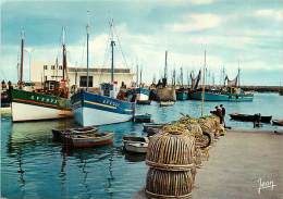 Delcampe - B-15-1766  :  LESCONIL - Lesconil