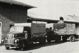 Delcampe - Postcard Leyland Comet Truck Lorry Trailer Strong & Co Romsey 1956 Billingham - Transporter & LKW
