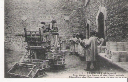 Delcampe - ROQUEFORT (AVEYRON)1 SOC ANON. DES CAVES ET DES PROD REUNIS RECEPTION DES FROMAGES A UX CAVES DE LA RUE - Roquefort