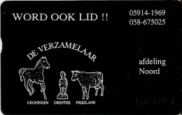 Delcampe - TARJETA DE HOLANDA DE UN CABALLO Y UNA VACA (CABALLO-COW) NUEVA-MINT - Pferde