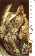 TARJETA DE SUDAFRICA DE UN BUHO (CHOUETTE-OWL) - Uilen