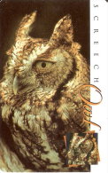 TARJETA DE SUDAFRICA DE UN BUHO (CHOUETTE-OWL) - Owls