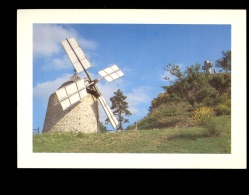 LAUTREC Tarn 81 : Le Moulin à Vent Et Le Calvaire  Wind Mill Mühle - Lautrec