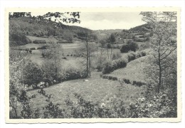 CPA - EREZEE - Sous Le Bois - Panorama  // - Erezée