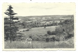 CPA - EREZEE - Panorama Des Hameaux  // - Erezee