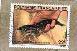 POLYNESIE Fse : Crevettes - Aquaculture : Elevage De Crevettes Au CNEXO - Gebraucht