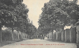 Abbaye De Saint-Sauveur-le-Vicomte (Manche) - Avenue De N.D. De Lourdes - Carte N°5 Non Circulée - Saint Sauveur Le Vicomte