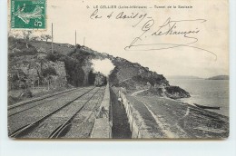 LE CELLIER - Tunnel De La Saulzaie,avec Le Train. - Ouvrages D'Art