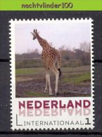 FG213 PERSOONLIJKE POSTZEGEL PERSONAL STAMP FAUNA ZOOGDIEREN GIRAF GIRAFFE MAMMALS NEDERLAND PF/MNH - Giraffes