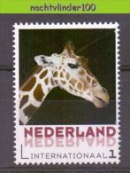 FG229 PERSOONLIJKE POSTZEGEL PERSONAL STAMP FAUNA ZOOGDIEREN GIRAF GIRAFFE MAMMALS WILDLIFE NEDERLAND PF/MNH - Giraffes