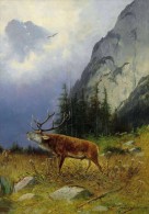 MULLER - Hunting - Deer - Modern Postcard - Mueller, August - Munich