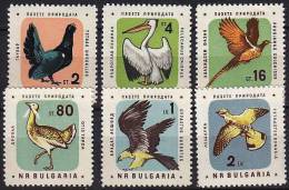 BULGARIE Oiseaux, Rapaces, Birds, Vögel, Yvert N°1060/65 ** Neuf Sans Charniere  MNH - Arends & Roofvogels