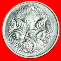 * ECHIDNAS (1966-2022) ★ AUSTRALIA ★ 5 CENTS 1976! LOW START★ NO RESERVE! - 5 Cents
