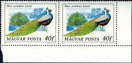 BIRDS-PEAFOWL & PHEASANTS-HUNGARY-1977-SET OF 6 IN PAIRS-MNH A6-401 - Pavoni