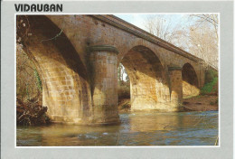 VIDAUBAN (Var 83) Pont De L' Argens - Fleuve Côtier De La Méditerranée - Vue Générale (écrite Voir Détails 2scan) MW985 - Vidauban