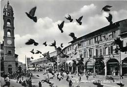 FAENZA. LA PIAZZA DELLA LIBERTA' GREMITA DI PASSANTI E VOLATILI. CARTOLINA DEL 1960 - Faenza