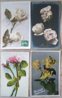 CP Lot 7x  Photo Fantaisie Theme Belle Rose Roses Tige Et Boutons Bouton Rosée VOIR PHOTOS - Sammlungen & Sammellose