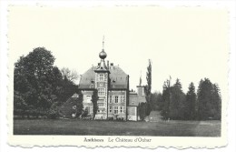 CPA - ANTHISNES - Le Château D' Ouhar // - Anthisnes