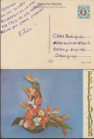 1977-EP-10 CUBA 1977. Ed.120c. ENTERO POSTAL. POSTAL STATIONERY. MOTHER DAY SPECIAL DELIVERY. JARRA DE FLORES. FLOWERS. - Storia Postale