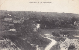 89 . Yonne : Cerisiers . Vue Panoramique . - Cerisiers
