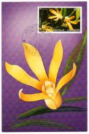 988 / Carte Premier Jour De NOUVELLE  - CALEDONIE : Orchidées (illustration, Timbre Et Cachet Concordants) - Maximumkaarten