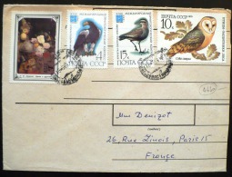 URSS Oiseaux, Rapaces, Birds, Vögel, Chouettes Et Hiboux. Lettre Ayant Voyagée Avec Yvert 4630. Affranchissement Composé - Gufi E Civette