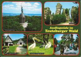 TEUTOBURGER WALD - Detmold