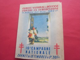 Rare 1946 ERINNOPHILIE FRANCE BLOC CARNET 10 VIGNETTE ANTI TUBERCULEUX NESTLE GIBBS 16é  CAMPAGNE CONTRE LA TUBERCULOSE - Blocs & Carnets