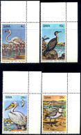 BIRDS-WATER BIRDS-SOUTH WEST AFRICA-1979-SET OF 4-MNH A6-409 - Fenicotteri