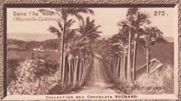 COLLECTION DES CHOCOLATS SUCHARD / DANS L'ILE NOU - NOUVELLE CALEDONIE - Collections