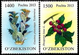 Uzbekistan - 2013 - Rare Plants Of Uzbekistan - Mint Stamp Set - Usbekistan