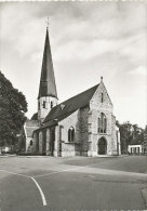Bazel - St.-Pieterskerk - Kruibeke