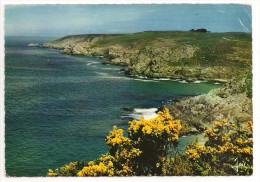 29 - BAIE DE DOUARNENEZ - La Côte à Beuzec Cap Sizun Près De La Plage De Pors-Peron - Ed. JOS N° MX 183 - 1965 - Beuzec-Cap-Sizun