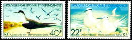 BIRDS-MARINE BIRDS-TERNS-NEW CALEDONIA-2v-1978--MNH-A6-415 - Albatros & Stormvogels