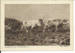 CHROMO , MUSCULOSINE BYLA , Jus De Viande Crue , Labourage Nivernais - Sonstige & Ohne Zuordnung