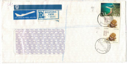 RSA - South Africa - Sud Africa - SUID AFRIKA - 1993 - Port Elisabeth + 2 X Crassula - Registered Air Mail - Viaggiat... - Lettres & Documents