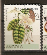 Angola (C1) - Angola