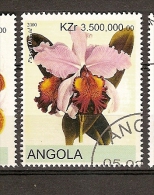 Angola (C3) - Angola