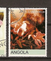 Angola (C4) - Angola