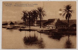 Congo Belge, Carte Postale, Nyonga, Poste Commercial Sur Le Lualaba, 45 C., Neuve - Ganzsachen