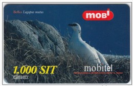 SLOVENIA Mobil Prepaid Phonecard Bird, Belka Valid  31.12.2001 - Sperlingsvögel & Singvögel