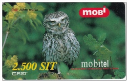 SLOVENIA  Owl Mobil Prepaid Phonescard Animal, Bird, Čuk Athene Noctua - Gufi E Civette