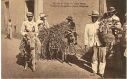 CABO VERDE .... UHA DE S TIAGO .... VENDEDOR DE PALHA E TIPOS INDIGENAS - Cap Vert