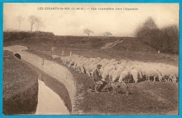 CPA 78 LES-ESSARTS-Le-ROI Yvelines - Vue Champêtre Vers L' Aqueduc (métier Berger - Troupeau De Moutons) ° Bergère - Les Essarts Le Roi