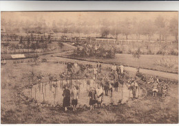 Sijsele, Sysseele, Sanatorium Elisabeth, Park, Parc (pk16487) - Damme