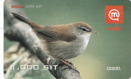 SLOVENIA  Mobil Prepaid Phonescards Bird  Cetti's Wrabler Svilnica Cettia Cetti Valid 13.12.2007 - Sperlingsvögel & Singvögel