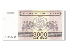 Billet, Géorgie, 3000 (Laris), 1993, SUP - Georgië