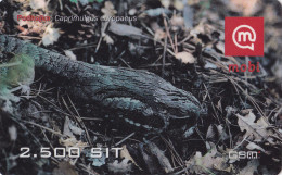 SLOVENIA Bird Nightjar Podhujka Caprimulgus Europeaus Mobil Prepaid Phonecard  31.12.2007 - Uccelli Canterini Ed Arboricoli